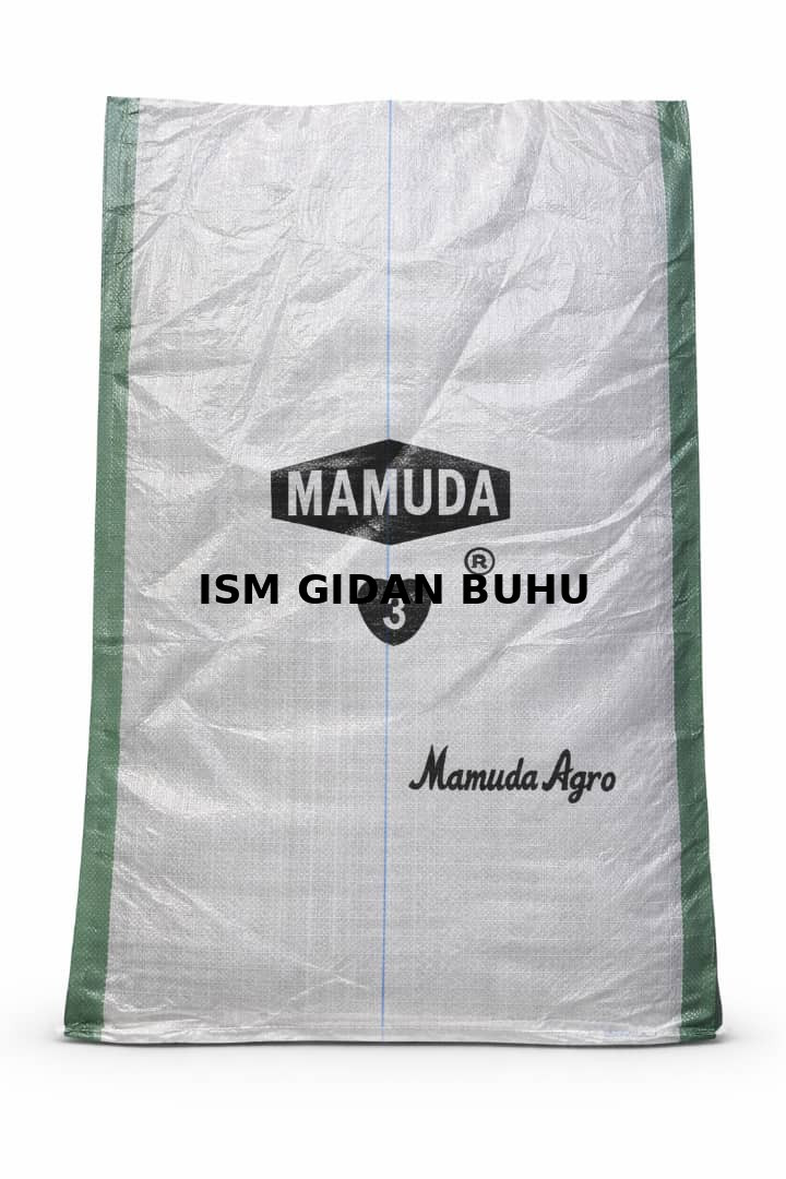 MAMUDA JIMBO